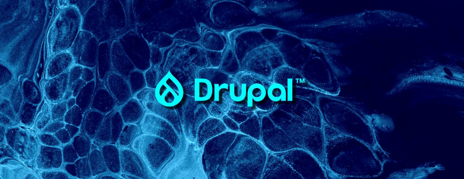 Drupal Blogging Platform